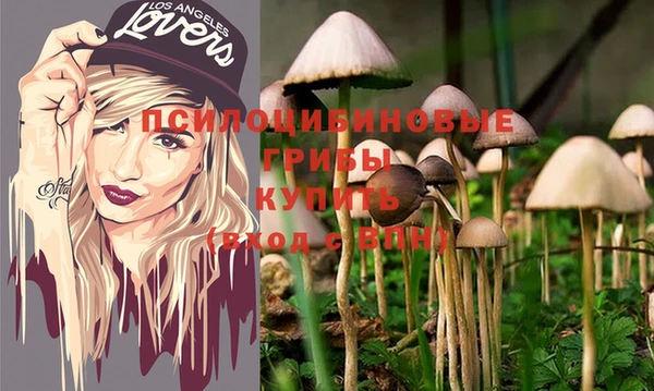 молекула духа Горно-Алтайск