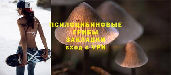 прущие крисы Горнозаводск
