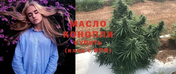 мдпв Горняк